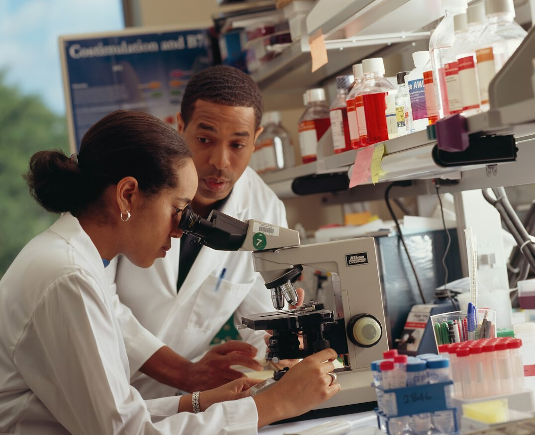 researchers analyzing survey data